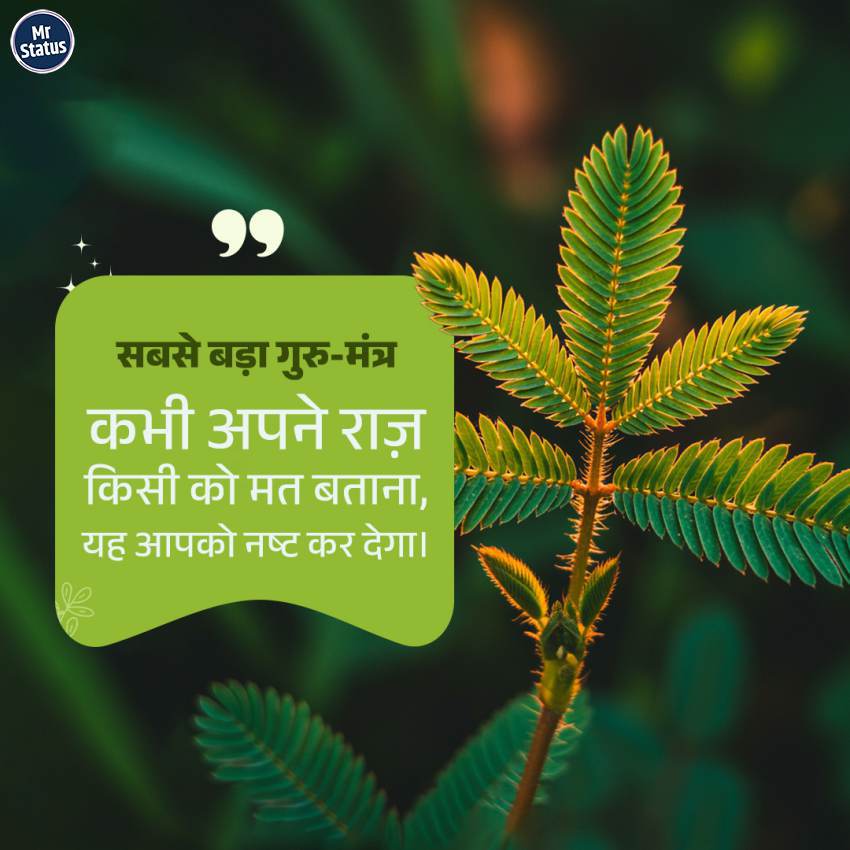 Download free status image